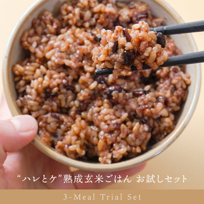 “ハレとケ”熟成玄米ごはん 3食 お試しセット