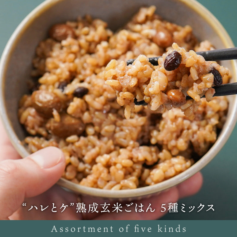“ハレとケ”熟成玄米ごはん 5種ミックス（10食/20食） 3日間じっくり寝かせた酵素玄米 残留農薬ゼロの特A米ひとめぼれ使用